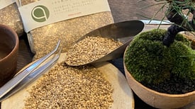 小さな草木を植える土　550円