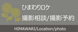 山梨明野ひまわり畑ウェディングロケーション＆和装ひまわり前撮り山梨明野ひまわり畑ウェディングロケーション＆和装ひまわり前撮り　山梨ひまわりロケフォトウェディング　山梨明野ひまわり畑　明野ひまわりウェディング　ひまわりロケーション撮影　ひまわり畑ウェディングロケ　ひまわりフォトウェディング　ひまわり畑ウェディングドレス　ひまわり前撮りロケーションフォト　　