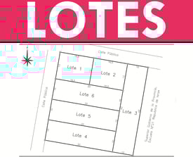 Carina Rossier Inmobiliaria vende lotes en Colonia Hambis, Entre Ríos.