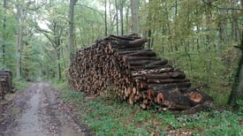 Les avantages de la forêt vus sous l'angle économique