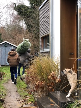 dieartigeBLOG // Dezember, Weihnachtsbaum 2019, Nordmanntanne - nachhaltig + frisch geschlagen, Zuhause, Vorpommern