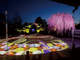 春のイメージ　画像提供：高台寺