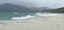 newsletter un monde été 2025