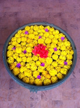 Die prä- und perinatale Therapie umfasst den behutsamen Aufbau von Vertrauen und Sicherheit beim Baby.