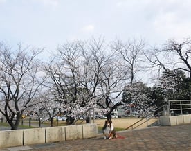 Fromふれあい会館To LLシホヤ新井教室