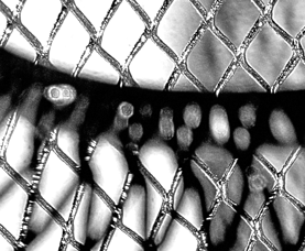 Détail à 100% - Environ 13x16cm