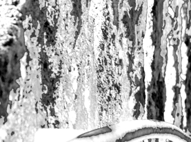 Détail à 100% - Environ 15x21cm