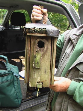 Alter Nistkasten - Foto: NABU/K. Haverkamp