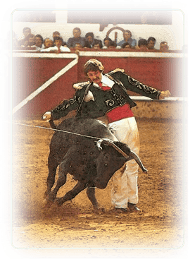 orthe, landes, aquitaine, peyrehorade, course landaise, ganaderia, sauteur, cordier, talanquère, vache