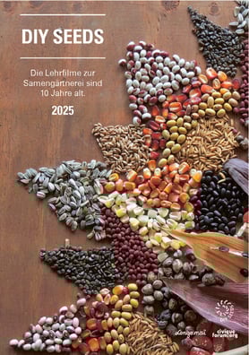DIY Seeds feiert 2025 sein 10-jähriges Bestehen! 