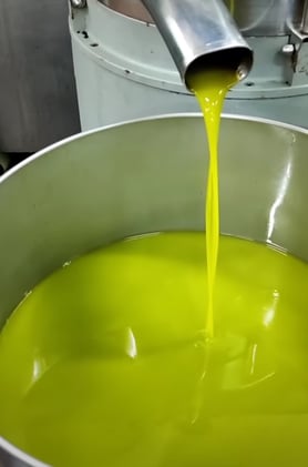 Olive oil production