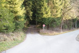 Zufahrt: links in den Wald abbiegen