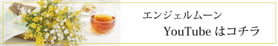 エンジェルムーングループyoutube