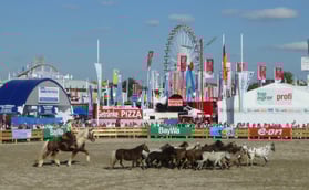 Immer wieder gerne gesehen, die Tierschau  (im Hintergrund das Riesenrad)