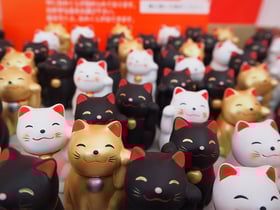 まねき猫,おみくじ,猫