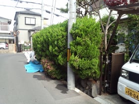 生垣をフェンスに!!エクステリア工事＠奈良県大和高田市