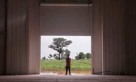 (Quelle: Grünes Gold/Dead Donkeys fear no hyenas)