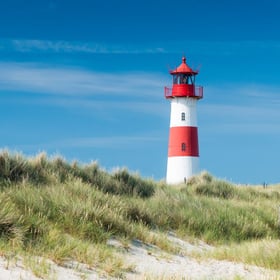 Kosten Kinesiologie, Sandra Kunz, Praxis für Integrative Kinesiologie Muri