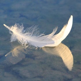 Kinesiologie fördert Leistung und Fähigkeiten, Sandra Kunz, Praxis für Integrative Kinesiologie Muri