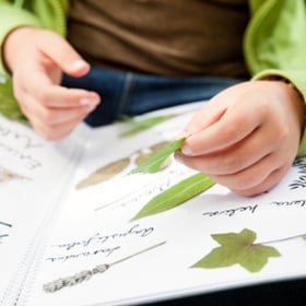 visite guidate museo storia naturale bambini e ragazzi