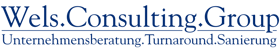 WELS CONSULTING GROUP