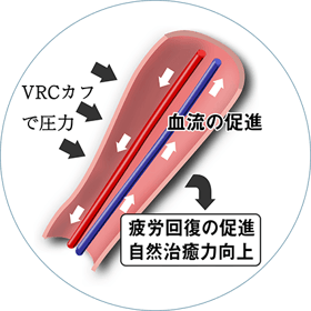 VRC加圧プログラムは、血流を制限して成長ホルモンの分泌を促すメソッドです。  血圧計の要領で、短時間に駆血や血流制限を行うことで、「熱い！」と感じるほど、血流が促進され、体温上昇と代謝がアップします。継続的に行うことで、冷えやむくみなどの原因の血流の不足が改善され、メタボの解消や筋力アップ、ダイエットや痩身効果も期待できます。