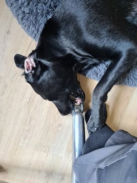 Foto zeigt Georg mit seinem Mittagessen in der ToGo-Verpackung 