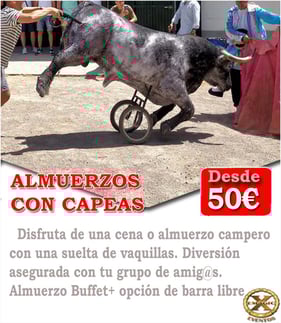 suelta de vaquillas y capeas