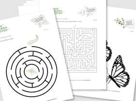 Schmetterling-Daumenkino