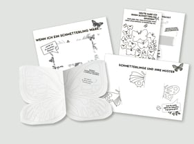 Lapbook Schmetterling & Raupe