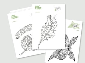 Malvorlage Schmetterling