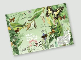 Schmetterling-Plakat / Poster