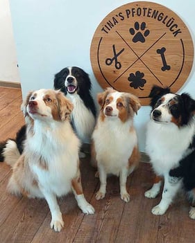 Vom Baden bis zum Föhnen: Die perfekte Pflege für Ihren Hund im Hundesalon