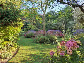 Le Jardin de Roses du Parc floral de Digeon - Parcs et Jardins de Picardie