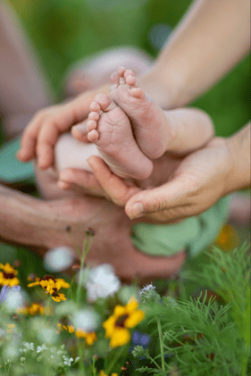 Spätsommershooting in der Blumenwiese