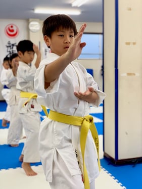 手刀廻し受け　移動稽古　コントロール　重心　技　タイミング　キレ　空手