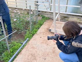 圃場やショップの撮影。ロケ、スタジオも対応します