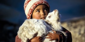 Postkarten mit den schönsten Sujets aus dem Himalaya