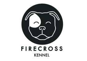 FIRECROSS Kennel - Allevamento Staffordshire Bull Terriers