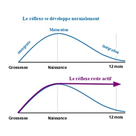 Courbe de développement et d'inhibition des réflexes archaïques qui restent actifs en l'absence de mouvements suffisants