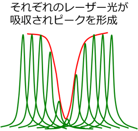 それぞれのレーザー光が吸収されピークを形成します