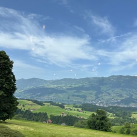 joel von moos lumeum niklaus dorothee dorothea