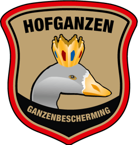 Hofganzen - een diervriendelijk antwoord bij overlast!