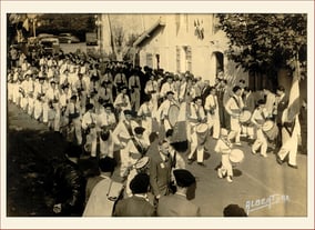 baco, françois, peyrehorade, orthe, landes, aquitaine, dax, adour, belus, labatut, greffe, greffon, phylloxera, armagnac, vignoble, instituteur, hybride, hybridation, viticulture, hudson