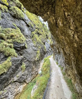 Nahaufnahme eines Weges in den Bergen.