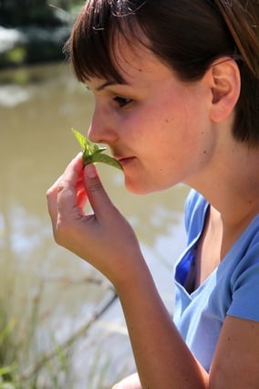 Camping Sites et Paysages : connecté à la nature !