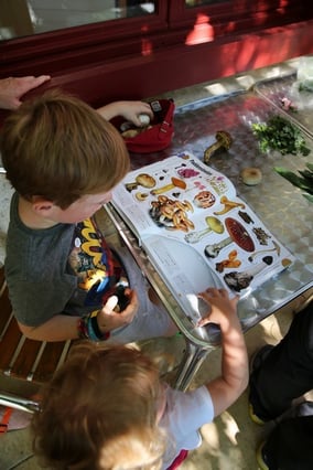 La découverte de la nature intéresse même les tout-petits !