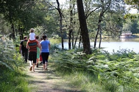 Balade en forêt et dans les vignes