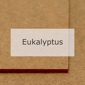 Hartfaserplatte Eukalyptus