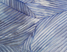 NO.16NRGY(organdy)*3D dyeing